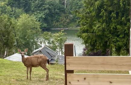 Summit Lookout Bungalow - Foto 33