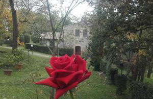 Agriturismo Il Cornalino - Foto 11