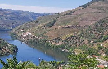 Casa do Jornaleiro - Douro - Foto 27