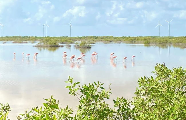 Entire House on the Seashore in Chicxulub Puerto, Yuc, Riviera Yucateca Mex - Photo 47