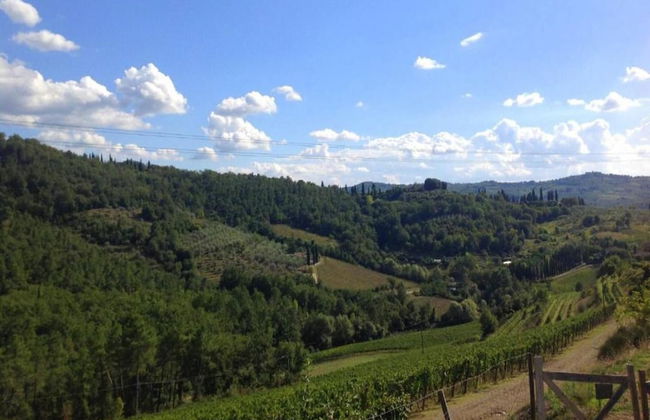 A Vineyard Apartment Retreat - Foto 35