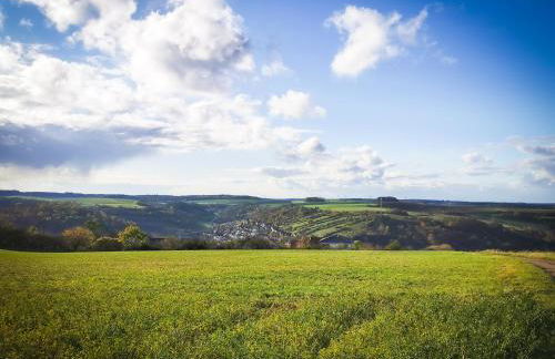 Ferienwohnung Löwenstern Niederstetten - Foto 25