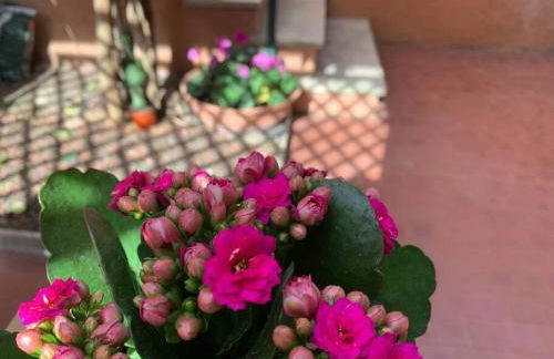 Casa con giardinetto al centro di Roma - Foto 13