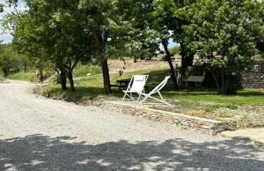 Agriturismo cergallina - Photo 19