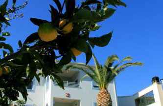 Aigli Apartments - Foto 3