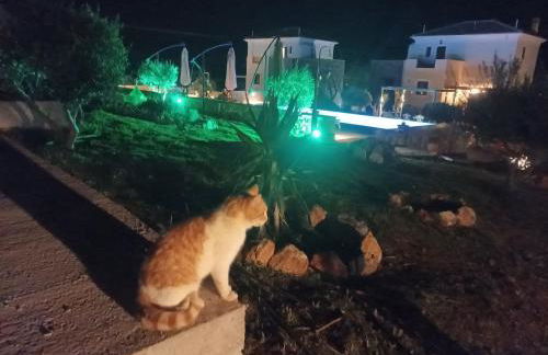 Villa Rodi - Foto 38