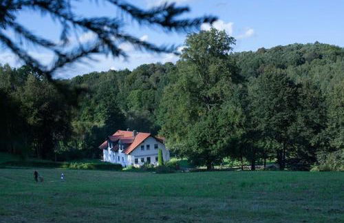 Wald-Apartment - Foto 10