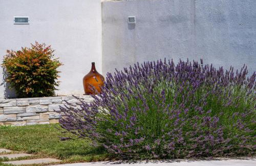 Pool House Edita - Happy Rentals - Foto 30