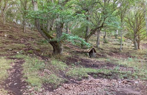 il peperino - Foto 26