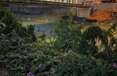 Valencia Apartamento Sol de Naranja - Foto 38