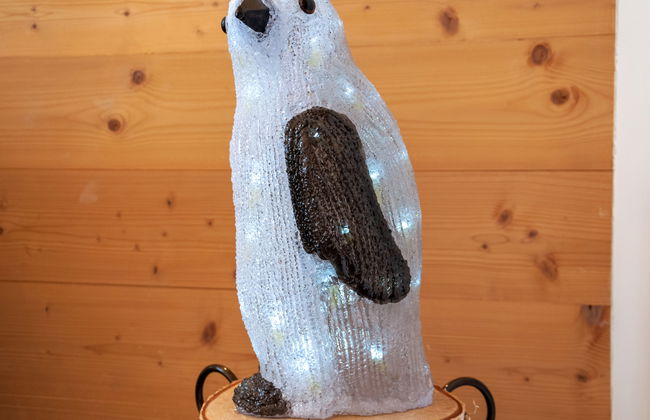 Les penguins - Foto 34