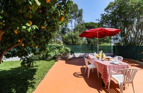 Casa do Azal - Photo 13