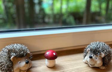 Haus mit Sauna am Waldrand - Nähe Brombachsee Altmühlsee - Foto 22