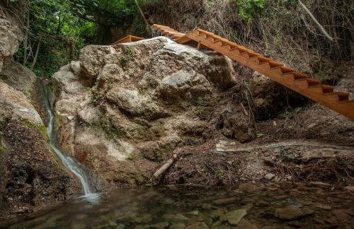 Αρχοντικό FoRRest - Foto 24