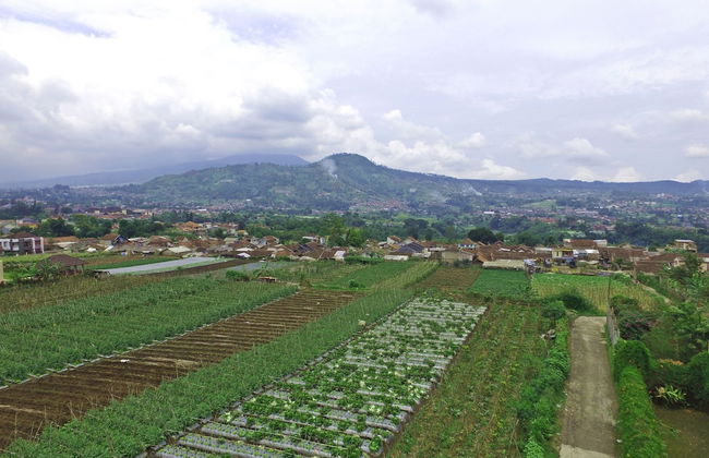 Vila Bunga Merah Gelatik - Photo 49