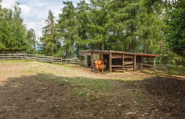 Farmhouse in Verbania With Lake Views - Foto 11