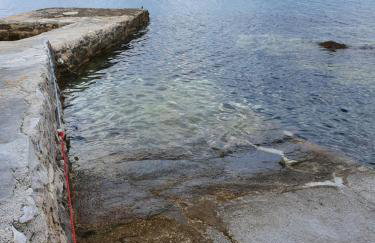 Heavenly House by the sea - Foto 70