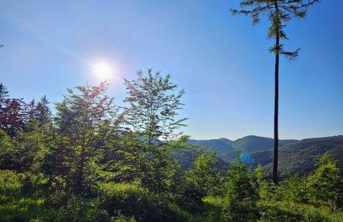 Graniczna 21 - w Górach Sowich - Foto 27