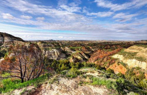 Badlands Suite Less Than 1 Mi to Teddy Roosevelt Park! - Foto 30