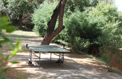 Residence Helios - Foto 23