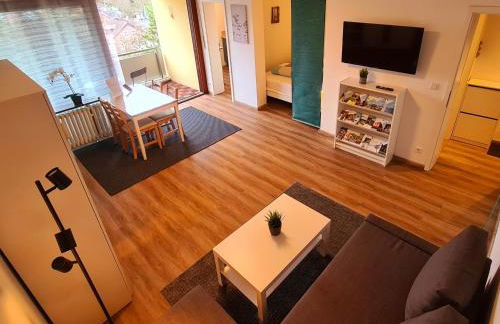 1,5 Zimmer Apartments mit traumhafter Aussicht - Foto 3