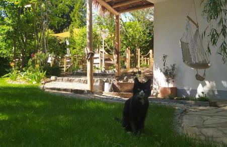 Beach & Birds - Foto 18