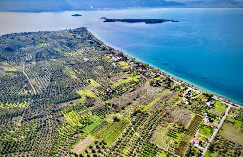 Lichada Villas - Foto 40