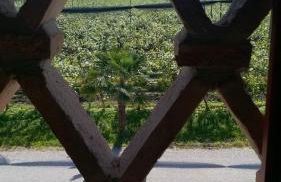 Agriturismo Sant'Egidio - Foto 30