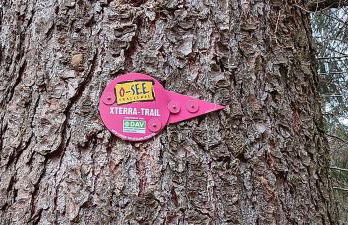 Ferienhaus Töpferblick-Hartau - Foto 60