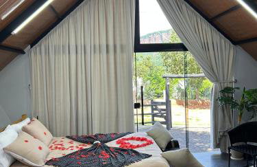 Kabana Harmony - Foto 53