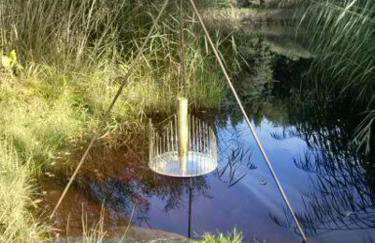 Ferienwohnung Rupp Bergblick & private Sauna - Photo 24