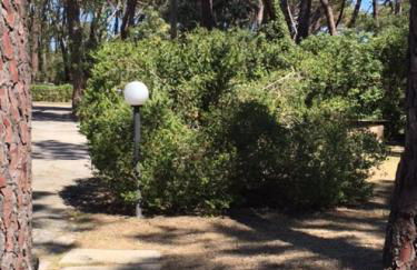 MaremMare Tuscany Apartments - Foto 39