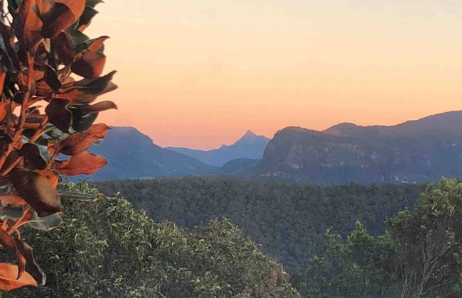 Cabane Tiny Tree House no4 - Foto 27