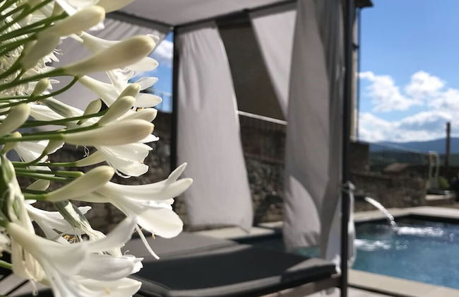 Torre a Cona Wine Estate - Foto 30