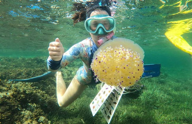 Snorkel en Cabo de Palos - Foto 6