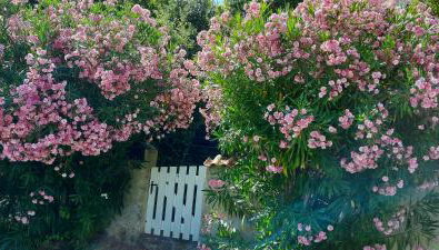 Casa Mina - Foto 3