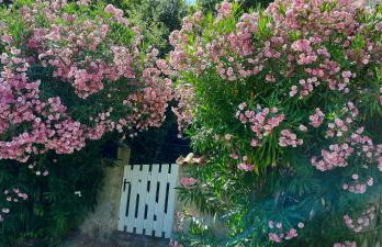 Casa Mina - Foto 3