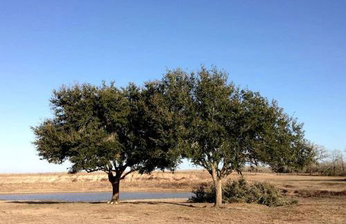 Secluded Group Cabin on Fun Ranch near Gonzales, Texas - Foto 10