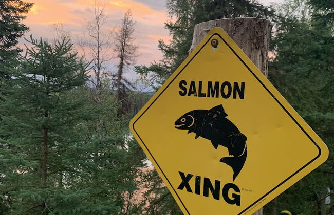 Joy's Kenai River Cabins - Foto 67