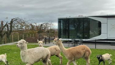 Galactic getaways JUPITER - Photo 3