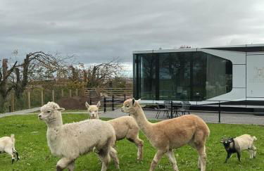 Galactic getaways JUPITER - Foto 3