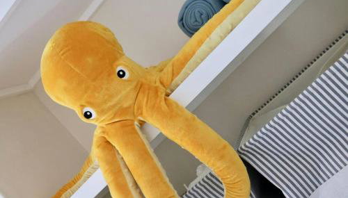 Bumblebee cottage Exmouth - Foto 3