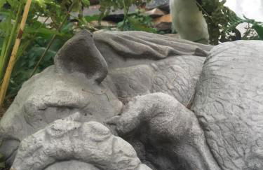 Modern Cottage with Peeks of Ocean Views - Foto 25