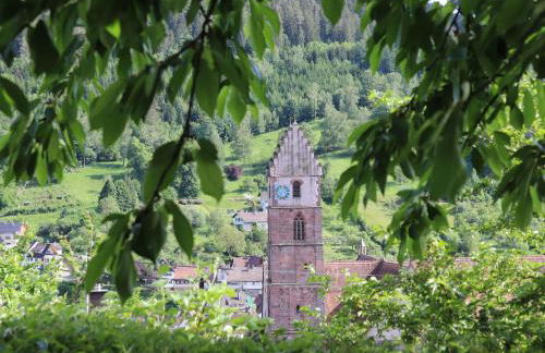 Haus Höhneck - Foto 12
