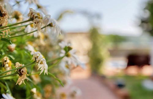 Holiday Home Giardino Marino - Foto 73