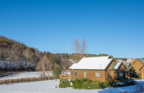 Cozy Cabin Right on the New River in Todd - Easy River Access - Fire Pit - Photo 31