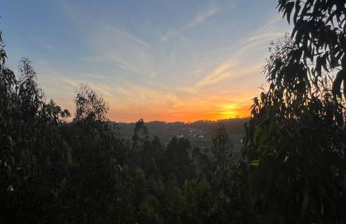 Quinta da nogueira - Foto 5