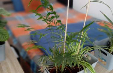 Helles Wohlfühl Apartment in Landshut Altdorf - Foto 29