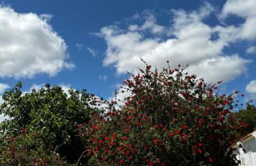 Na Quinta- alojamento rural com piscina de água salgada - Foto 16