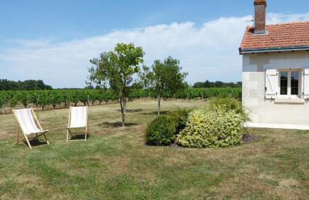 l'Ecrin au coeur des vignes - Foto 14